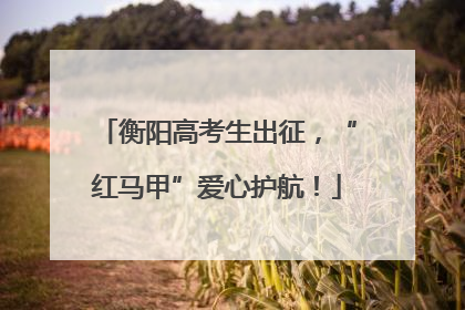 衡阳高考生出征，“红马甲”爱心护航！
