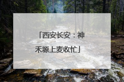 西安长安：神禾塬上麦收忙