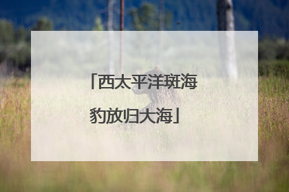 西太平洋斑海豹放归大海