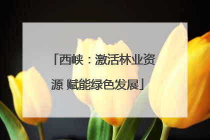西峡：激活林业资源 赋能绿色发展