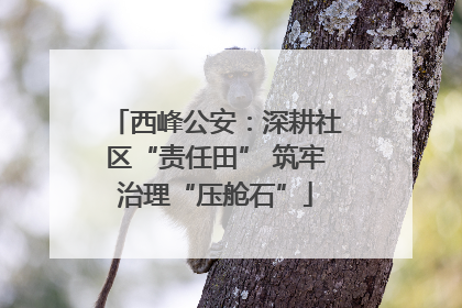 西峰公安：深耕社区“责任田” 筑牢治理“压舱石”