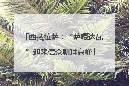 西藏拉萨：“萨嘎达瓦”迎来信众朝拜高峰