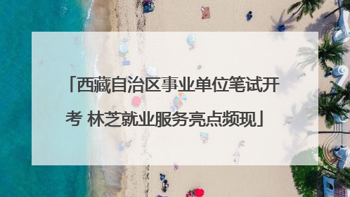 西藏自治区事业单位笔试开考 林芝就业服务亮点频现