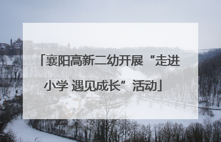 襄阳高新二幼开展“走进小学 遇见成长”活动