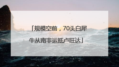 规模空前，70头白犀牛从南非运抵卢旺达