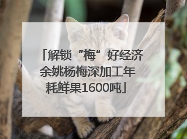 解锁“梅”好经济 余姚杨梅深加工年耗鲜果1600吨