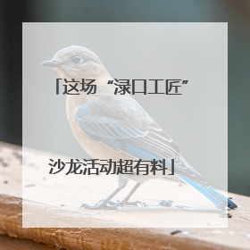 这场“渌口工匠”沙龙活动超有料