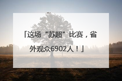 这场“苏超”比赛，省外观众6902人！