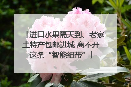 进口水果隔天到、老家土特产包邮进城 离不开这条“智能纽带”