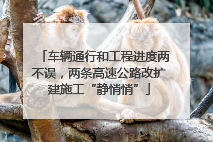 车辆通行和工程进度两不误，两条高速公路改扩建施工“静悄悄”