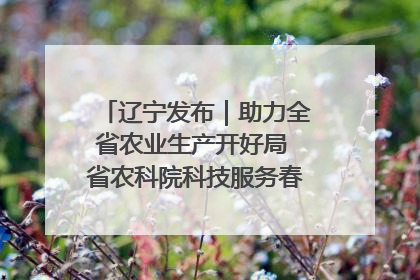 辽宁发布｜助力全省农业生产开好局 省农科院科技服务春耕备耕成效显著