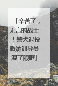 辛苦了，无言的战士！警犬退役撒娇训导员湿了眼眶