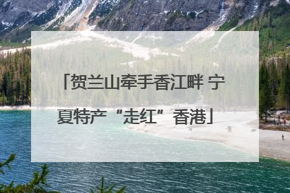 贺兰山牵手香江畔 宁夏特产“走红”香港