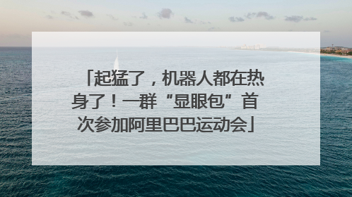 起猛了，机器人都在热身了！一群“显眼包”首次参加阿里巴巴运动会