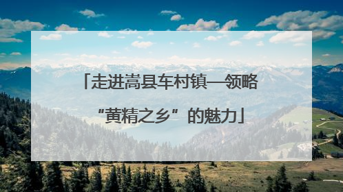 走进嵩县车村镇—领略“黄精之乡”的魅力