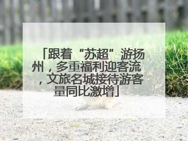 跟着“苏超”游扬州，多重福利迎客流，文旅名城接待游客量同比激增