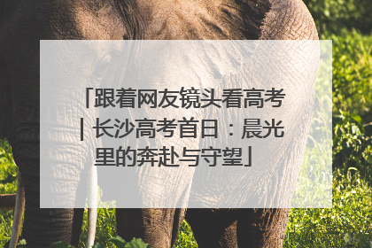 跟着网友镜头看高考｜长沙高考首日：晨光里的奔赴与守望