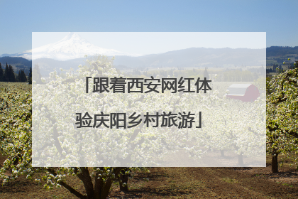 跟着西安网红体验庆阳乡村旅游