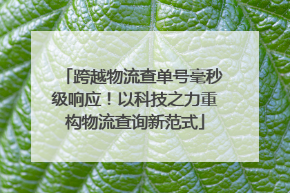 跨越物流查单号毫秒级响应！以科技之力重构物流查询新范式