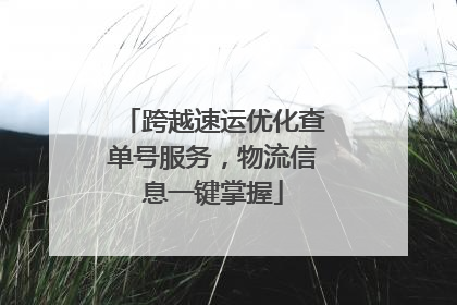 跨越速运优化查单号服务，物流信息一键掌握