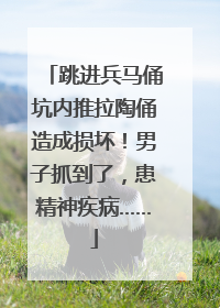 跳进兵马俑坑内推拉陶俑造成损坏！男子抓到了，患精神疾病……