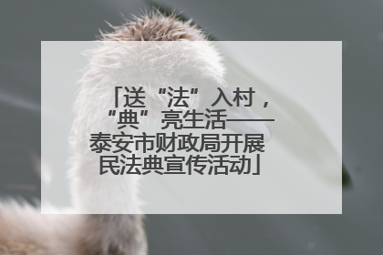 送“法”入村，“典”亮生活——泰安市财政局开展民法典宣传活动