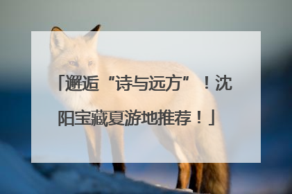 邂逅“诗与远方”！沈阳宝藏夏游地推荐！