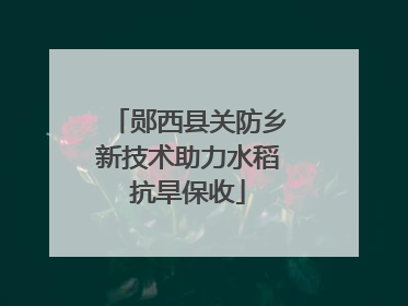 郧西县关防乡新技术助力水稻抗旱保收