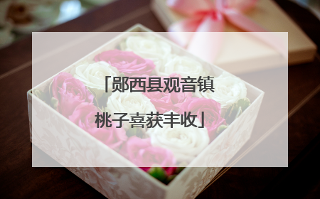 郧西县观音镇桃子喜获丰收