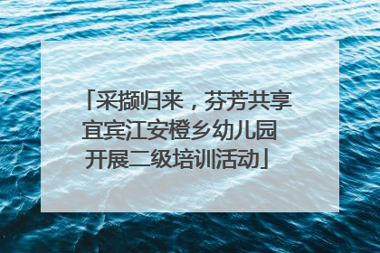 采撷归来，芬芳共享 宜宾江安橙乡幼儿园开展二级培训活动