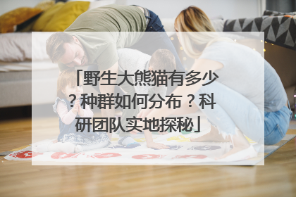 野生大熊猫有多少？种群如何分布？科研团队实地探秘