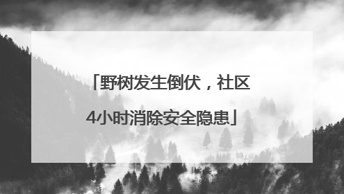 野树发生倒伏，社区4小时消除安全隐患