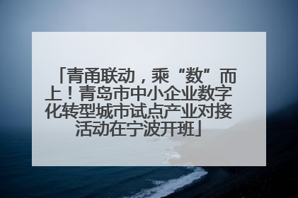 青甬联动，乘“数”而上！青岛市中小企业数字化转型城市试点产业对接活动在宁波开班
