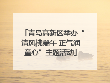 青岛高新区举办“清风拂端午 正气润童心”主题活动