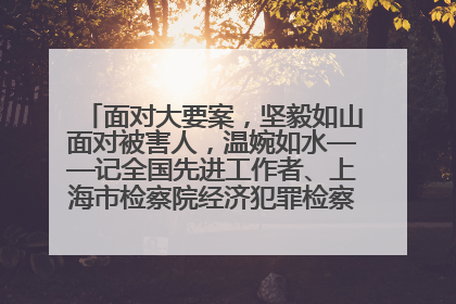 面对大要案，坚毅如山面对被害人，温婉如水——记全国先进工作者、上海市检察院经济犯罪检察部主任马玮玮