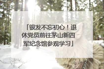 银发不忘初心！退休党员前往茅山新四军纪念馆参观学习