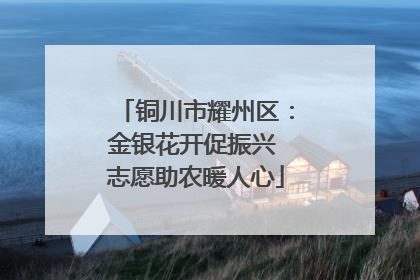 铜川市耀州区：金银花开促振兴 志愿助农暖人心