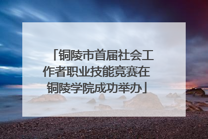 铜陵市首届社会工作者职业技能竞赛在铜陵学院成功举办