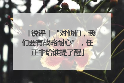 锐评｜“对他们，我们要有战略耐心”，任正非给谁提了醒