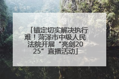 锚定切实解决执行难！菏泽市中级人民法院开展“亮剑2025”直播活动