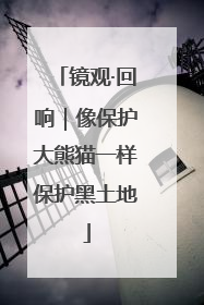 镜观·回响｜像保护大熊猫一样保护黑土地