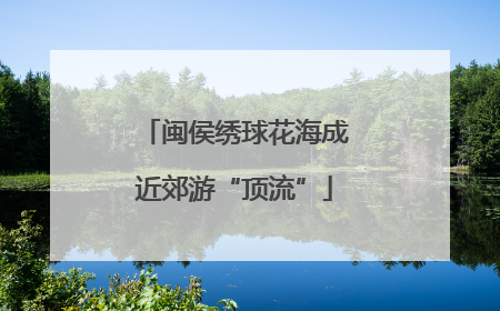 闽侯绣球花海成近郊游“顶流”