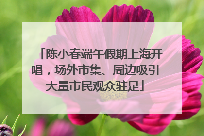 陈小春端午假期上海开唱，场外市集、周边吸引大量市民观众驻足