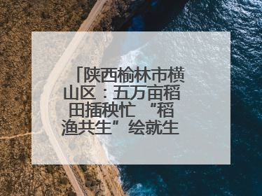 陕西榆林市横山区：五万亩稻田插秧忙 “稻渔共生”绘就生态富民新画卷