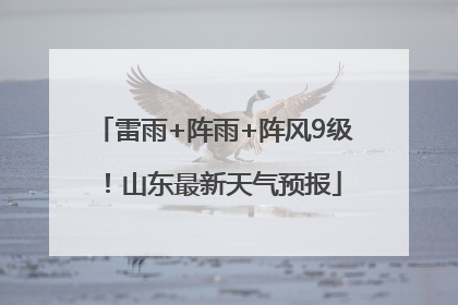 雷雨+阵雨+阵风9级！山东最新天气预报