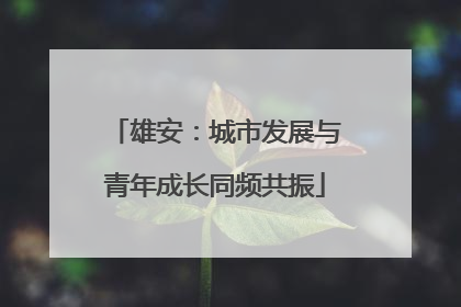 雄安：城市发展与青年成长同频共振