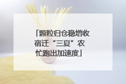 颗粒归仓稳增收 宿迁“三夏”农忙跑出加速度
