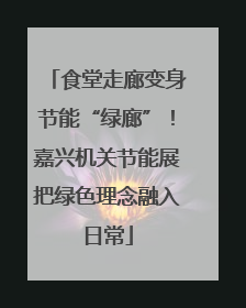 食堂走廊变身节能“绿廊”！嘉兴机关节能展把绿色理念融入日常