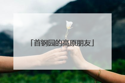 首钢园的高原朋友