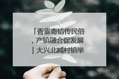 香囊寄情传民俗，产镇融合促发展｜大兴北臧村镇举办端午主题活动